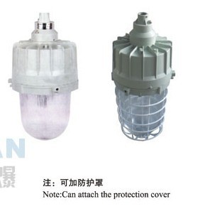 粉塵防爆燈產(chǎn)品解析 功率、外形尺寸與選購指南